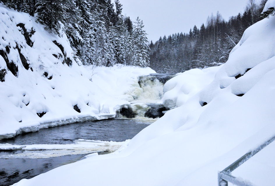 _DSC0695_.jpg