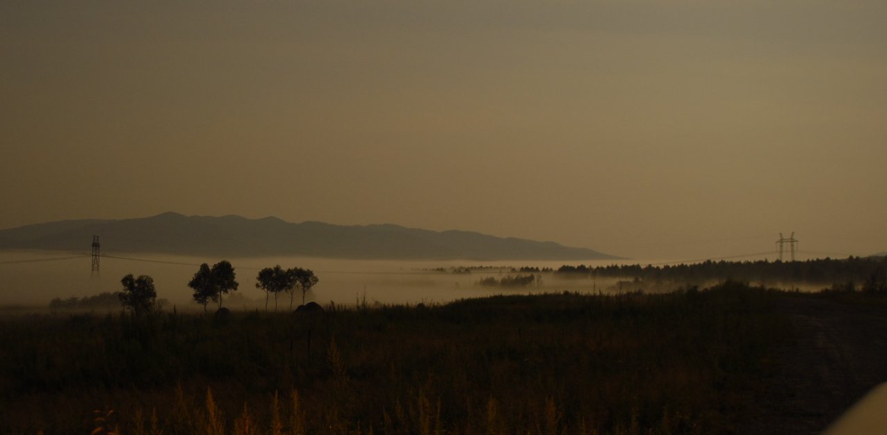 _DSC2691_-.JPG